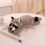 Peluche raton laveur doux
