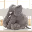Peluche Éléphant